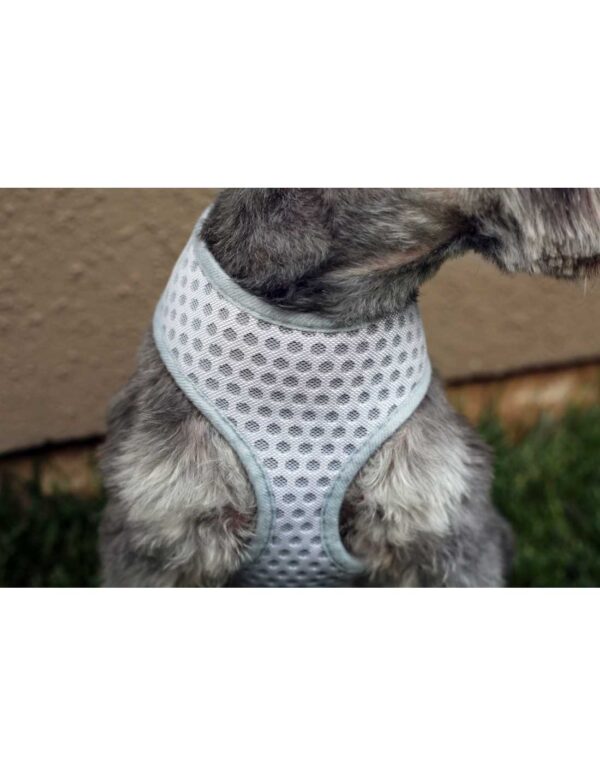 Arnés perro gris Talla S Hey¡ - Imagen 3