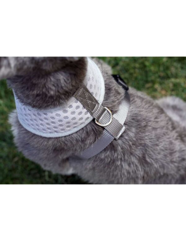 Arnés perro gris Talla S Hey¡ - Imagen 2